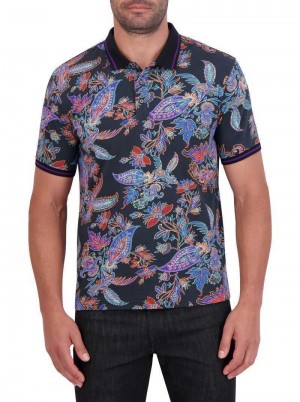 Robert Graham Ascona Polo Multi | JAIFHR587