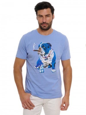 Robert Graham Cigar Graham T-shirt Periwinkle | JKUICR471