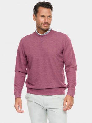 Robert Graham Colbourne Knit Shirt Berry | WADQFC671