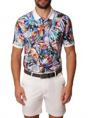 Robert Graham Flores Polo Multi | LNHBKM986