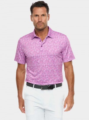 Robert Graham Iron Play Knit Polo Berry | JCBTUQ872