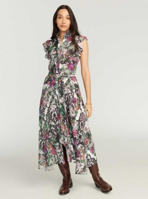 Robert Graham Sadie Dress Multi | IXVMBL076