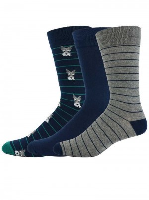 Robert Graham Terrier 3 Pack Socks Multi | RKLBOY504