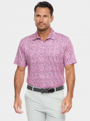 Robert Graham Torin Short Sleeve Knit Polo Granatowe | TQAPUB974