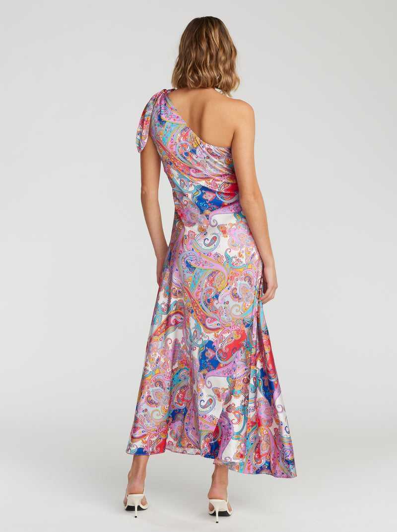 Robert Graham Audrey Dress Multi | DAWOFR143