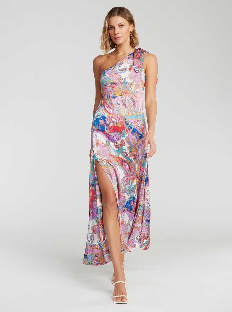 Robert Graham Audrey Dress Multi | DAWOFR143