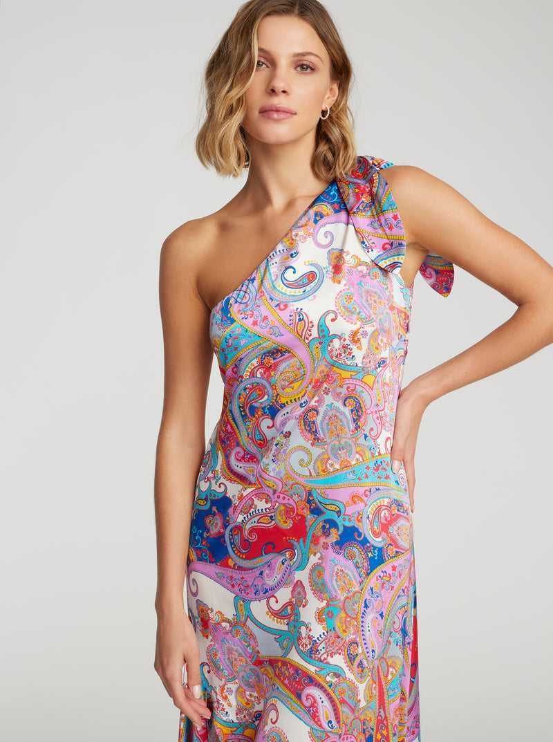 Robert Graham Audrey Dress Multi | DAWOFR143