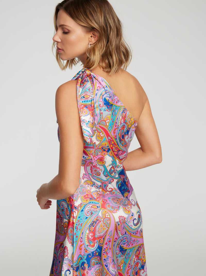 Robert Graham Audrey Dress Multi | DAWOFR143