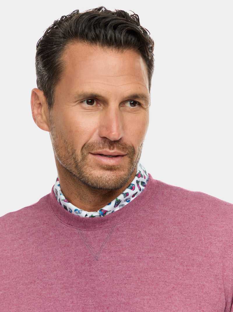 Robert Graham Colbourne Knit Shirt Berry | WADQFC671