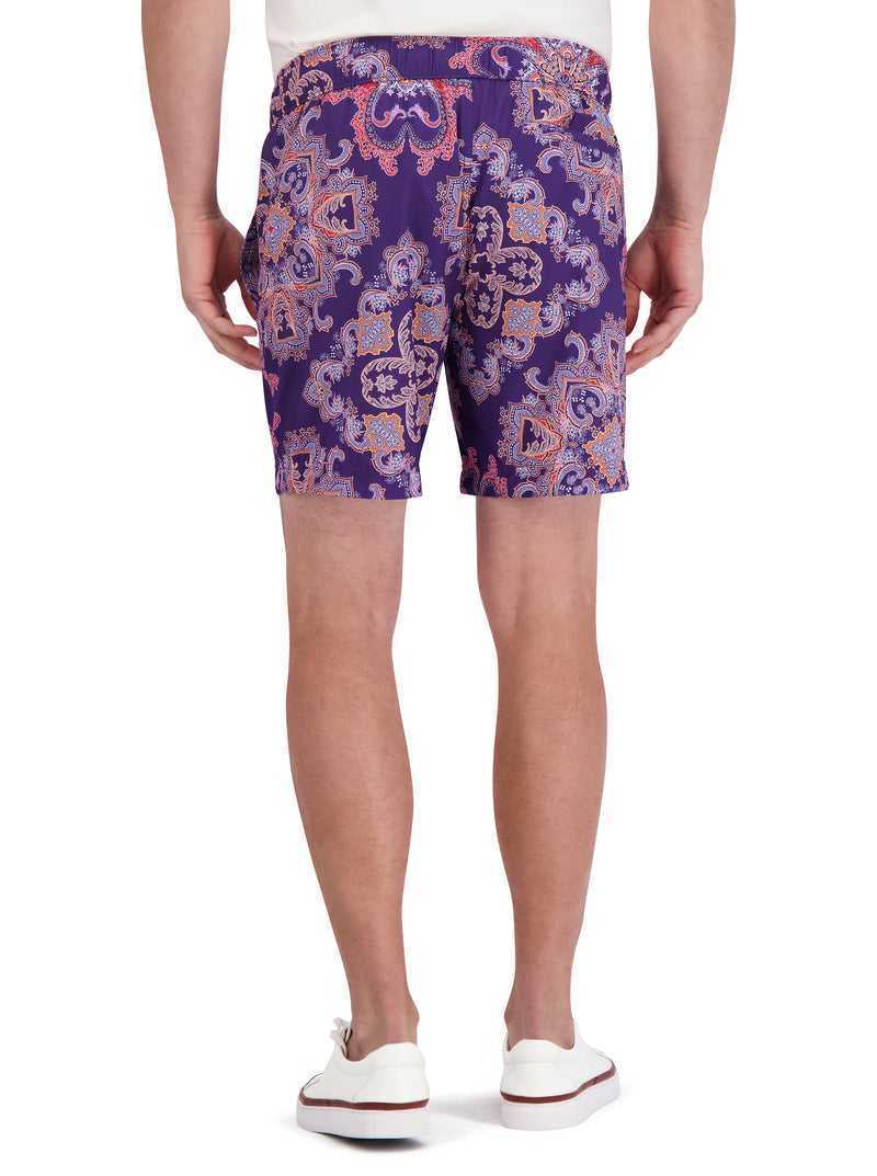 Robert Graham Loki Swim Fioletowe | EAQBFK198