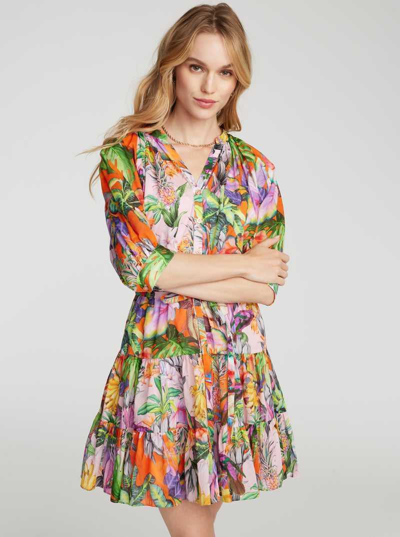 Robert Graham Sydney Dress Multi | HDGUPY012